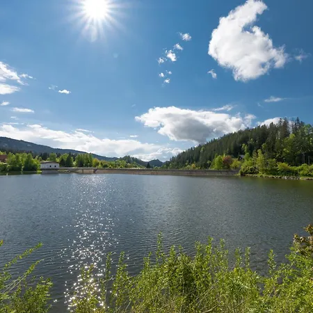 Apartman U Studánky